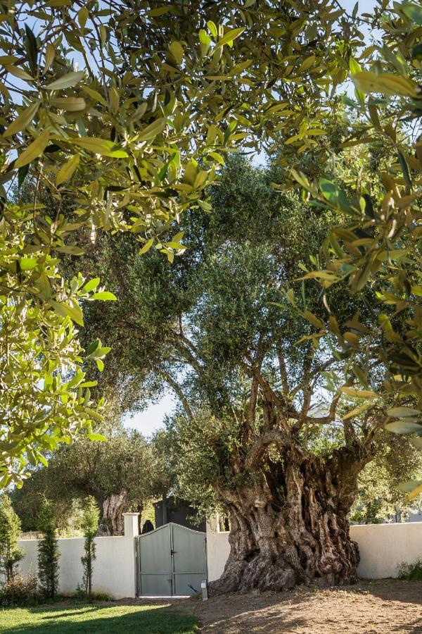 Villa Laoura Σβορωνάτα Εξωτερικό φωτογραφία